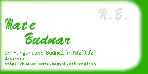 mate budnar business card